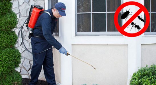 Pertek Hamam Böceği İlaçlama böcek ilaçlama ve haşere kontrolü — ilaclama-tr.com
